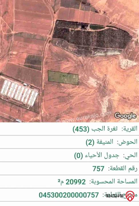 أرض مساحة 21 دونم للبيع في المفرق - ثغرة الجب