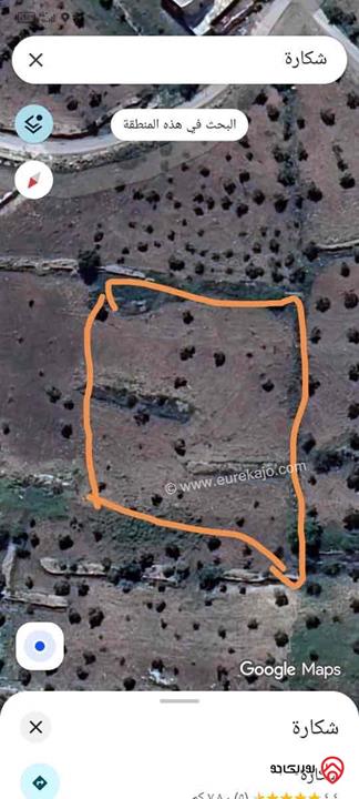 قطعة ارض مساحة 3 دونم و 533م للبيع في عجلون