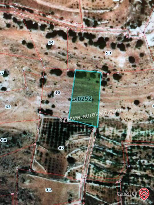 قطعة ارض مساحة 4 دونم للبيع في جرش - سوف