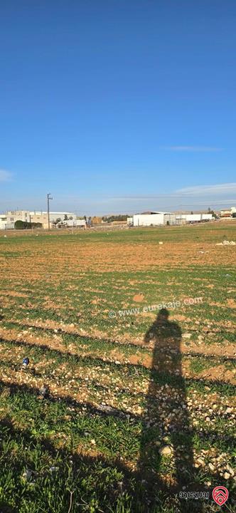 قطعة مميزة مساحة 1 دونم و 170م للبيع في اربد - من اراضي الرمثا مقابل ترخيص الرمثا شرق الحديقة 