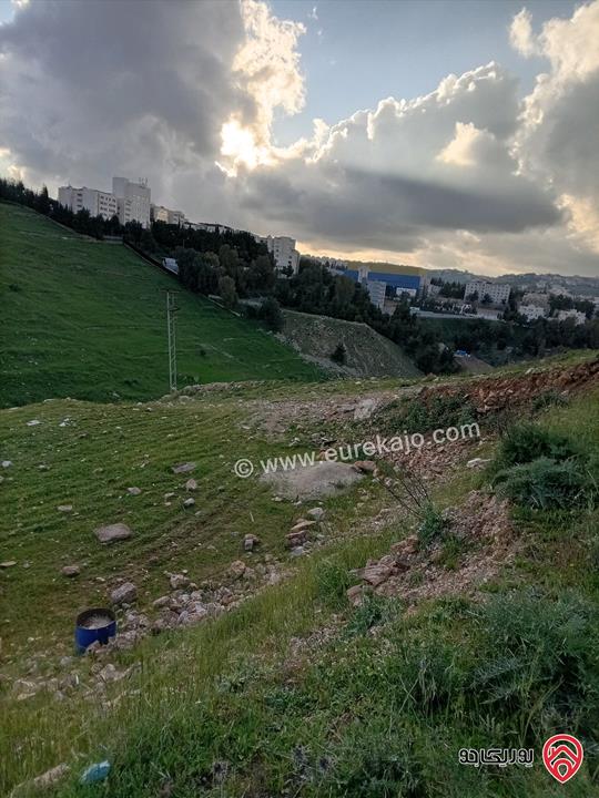 قطعة أرض مساحة 1 دونم و 433م للبيع في السلط - السرو 