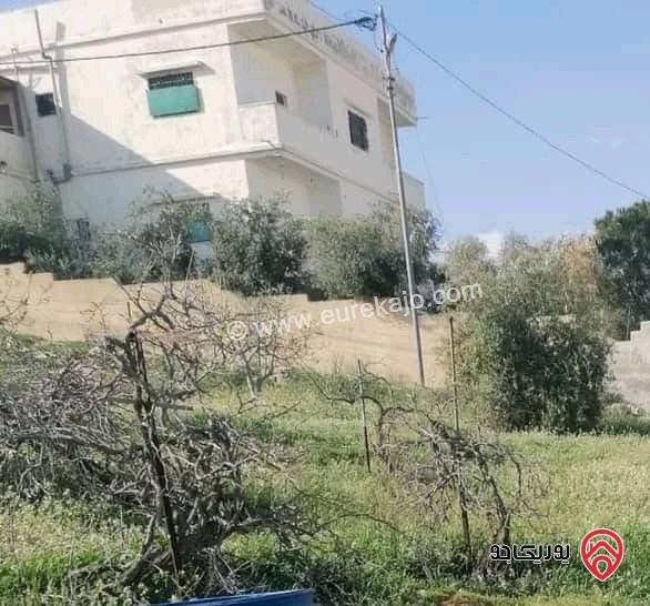منزل مساحة 500م على أرض 10 دونم للبيع في المفرق
