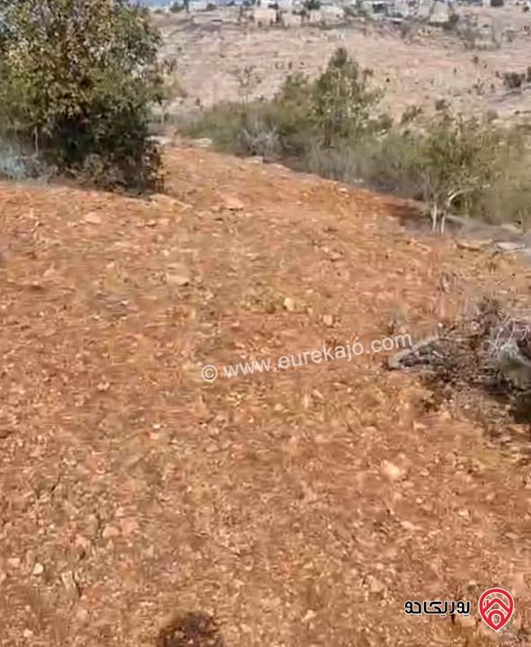 أرض مساحة 5 دونم و 603م للبيع في اربد - ملكا