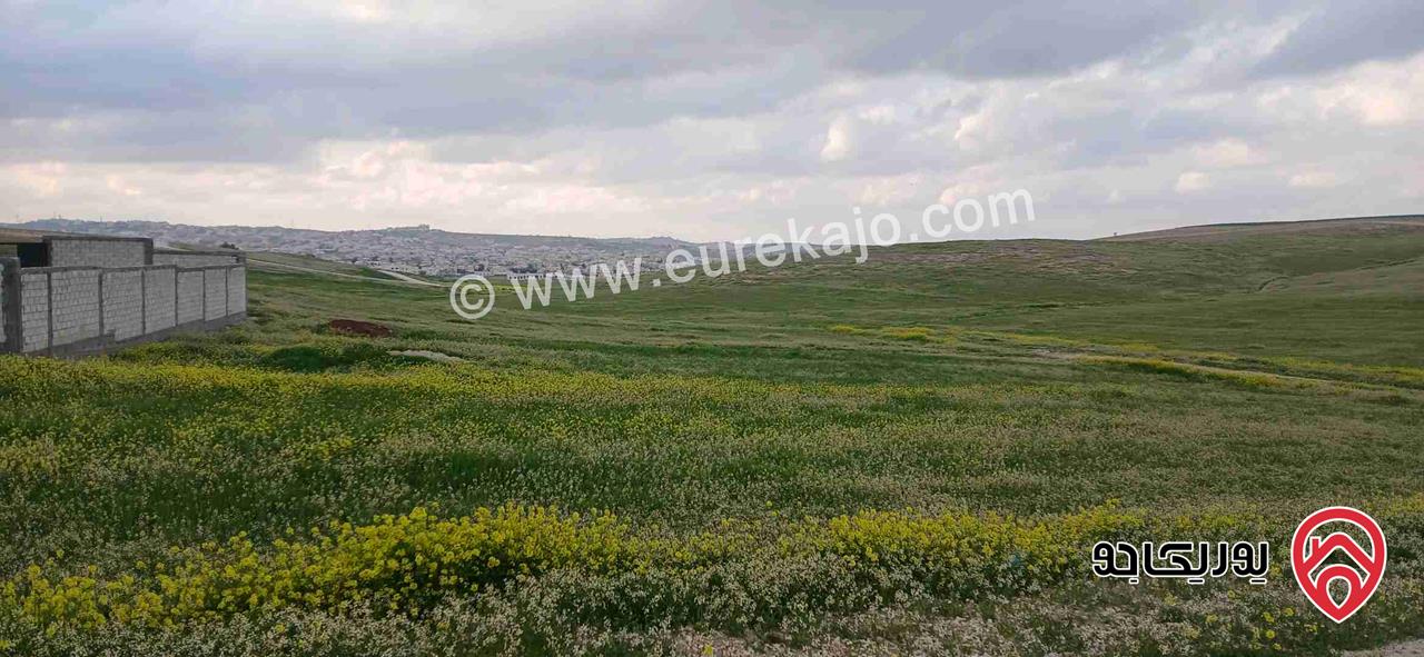أرض مساحة 500م للبيع في عمان - الخشافية