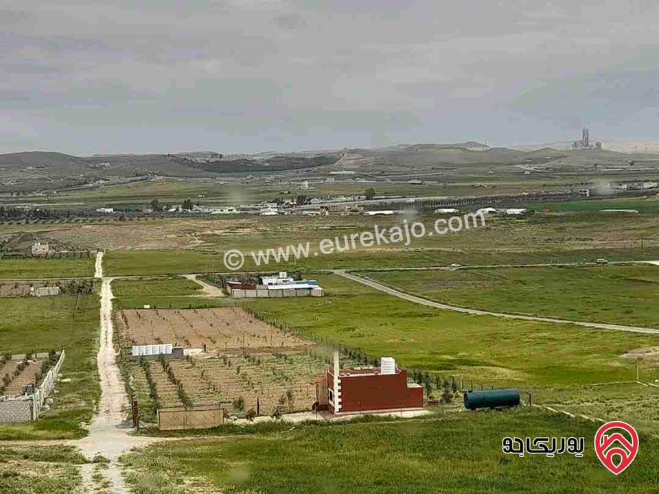 مزرعة مساحة 4 دونم للبيع في المفرق - بلعما 