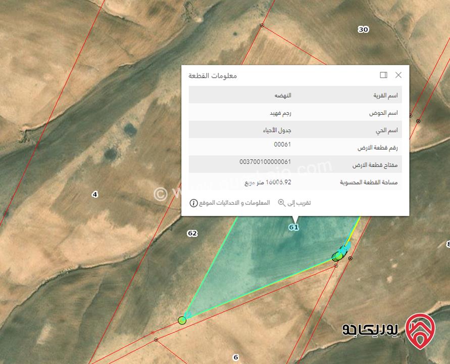 قطع أراضي عدد 3 مجموع مساحتهم 50 دونم للبيع في عمان - النهضة جنوب عمان