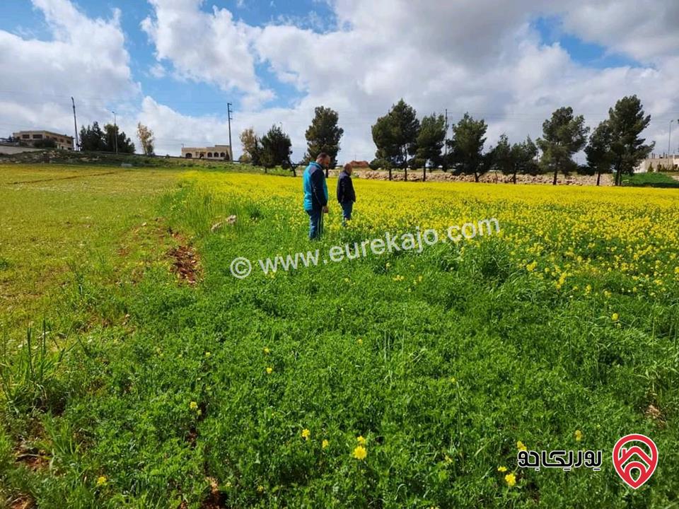 قطعة أرض مساحة 3500م للبيع في المفرق - رحاب