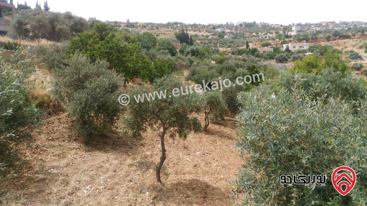 ارض مساحة 1693م للبيع في السلط - ام جوزة 