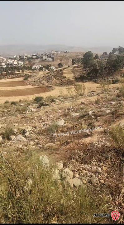 أرض سكنية قريبة من التنظيم مساحة 3 دونم و 885م للبيع في جرش – خلال الزلابية بسعر لقطة