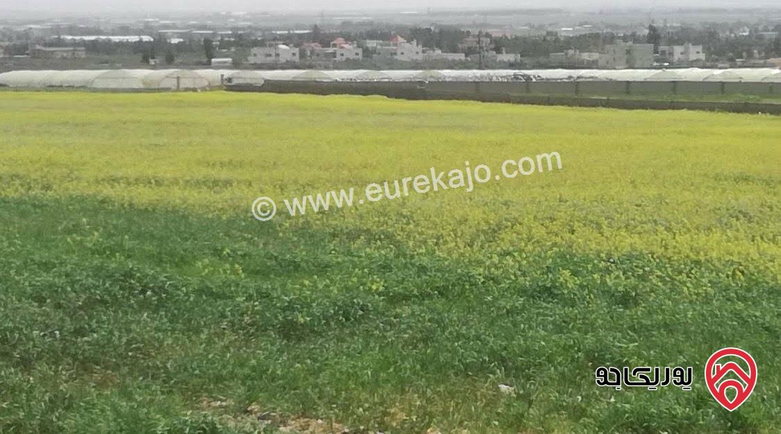 قطعة ارض مساحة 4 دونم للبيع من أراضي جنوب عمان - أم العمد