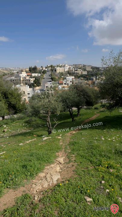 قطعة أرض مساحة 939م للبيع من أراضي غرب عمان - بلال