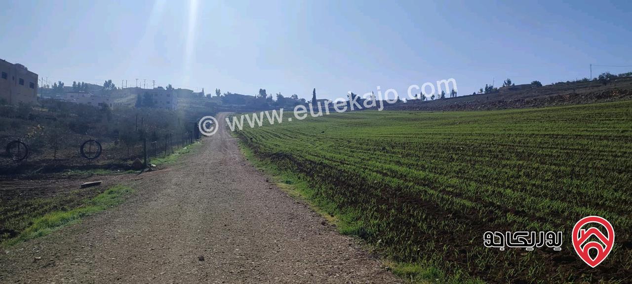 قطعة أرض مساحة 6 دونم و 280م للبيع في مادبا بجانب الجامعة الامريكية