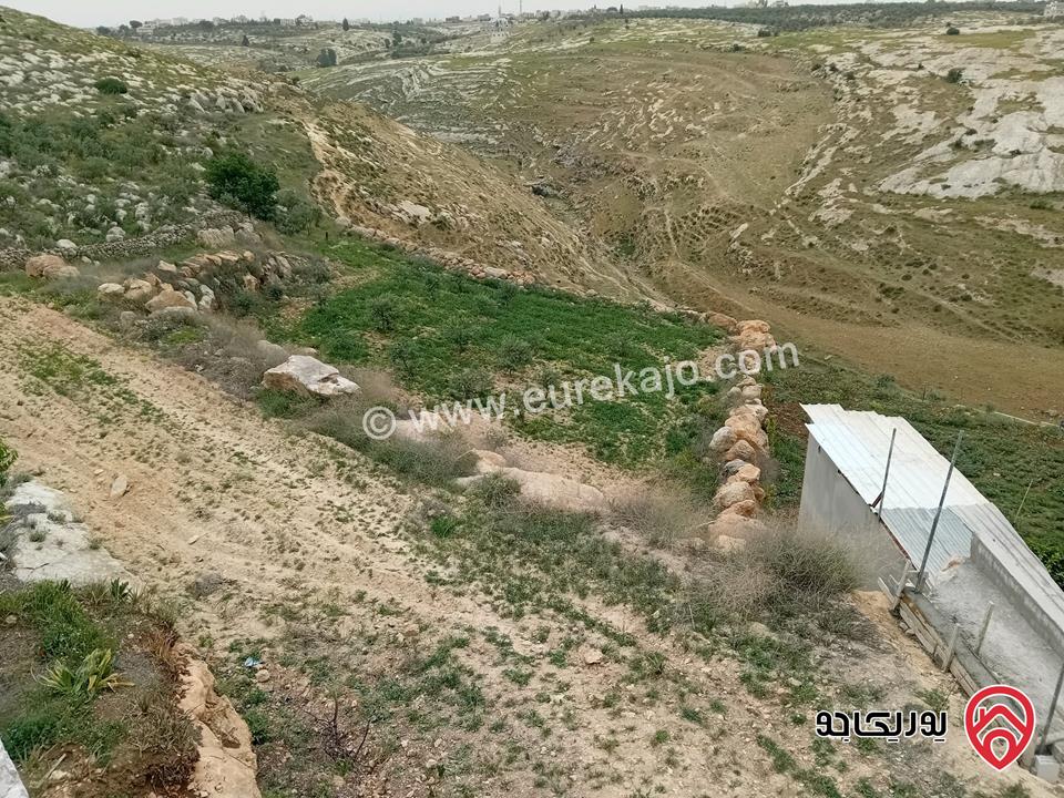 مزرعة مساحة 22 دونم و 592م للبيع في اربد - كفر جايز