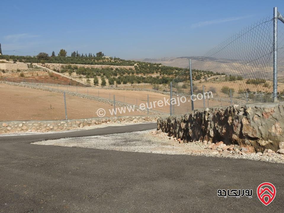 أرض مساحة 3 دونم و 500م للبيع في الزرقاء - العالوك