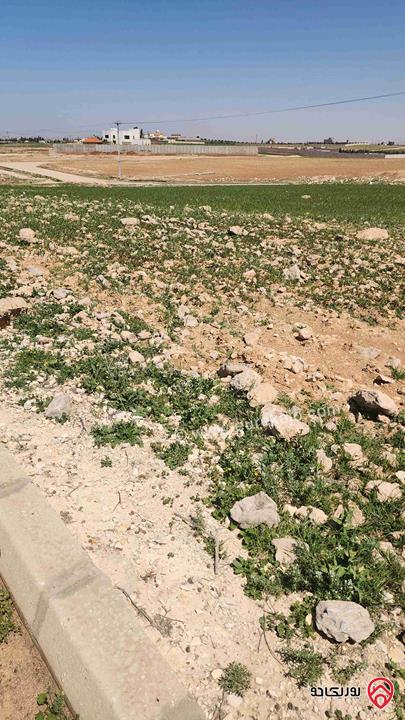 ارض مساحة 500م للبيع في عمان - القسطل عرقوب النعام 