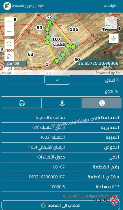 ارض مساحة 10 دونم للبيع في الطفيلة حوض الزقنان الشمالي من اراضي الطفيلة