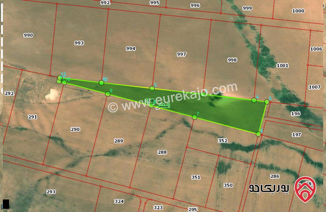 ارض مساحة 10 دونم للبيع في المشتى حوض القصر من اراضي جنوب عمان 