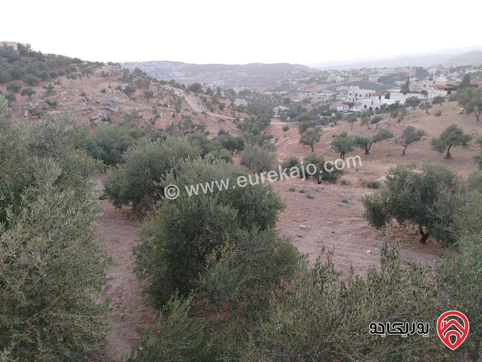 منزل مستقل على أرض مساحة 1 دونم مرخص واصل جميع الخدمات للبيع في عمان - ناعور