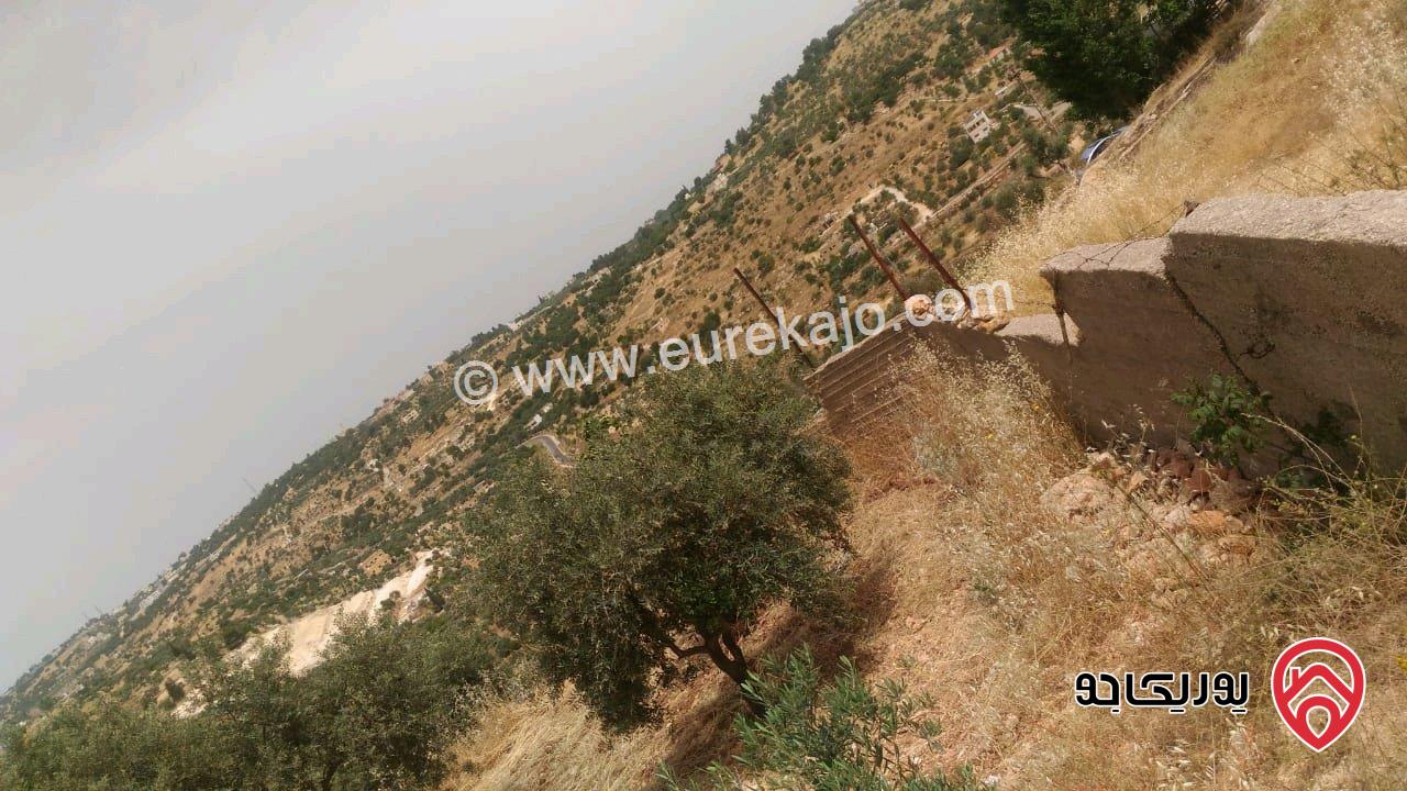 ارض مساحة 1693م للبيع في السلط - ام جوزة 