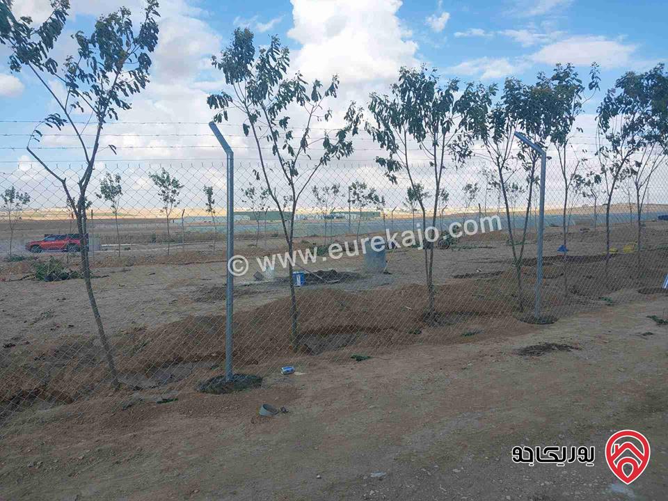 أرض مساحة 800م سكن ب للبيع في عمان - الجيزة حوض الحجرة 