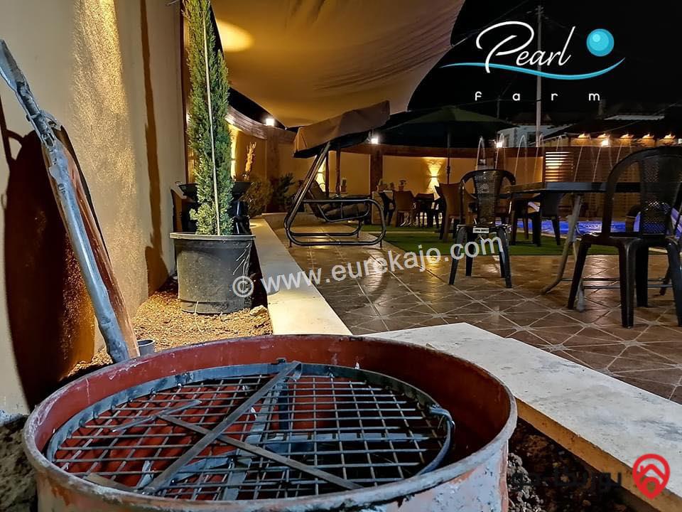 شاليه - مزرعة Pearl Farm للايجار اليومي في البحر الميت