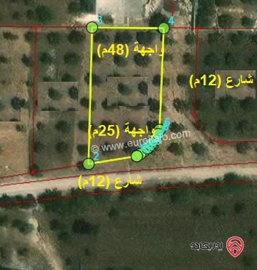 قطعة أرض مساحة 1176م للبيع في اربد - من اراضي الحصن ضمن حوض راكسة وام الهوى