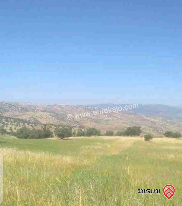 قطعة أرض مساحة 3400م استثمارية للبيع في الزرقاء - العالوك بيرين  قرب الكمشه