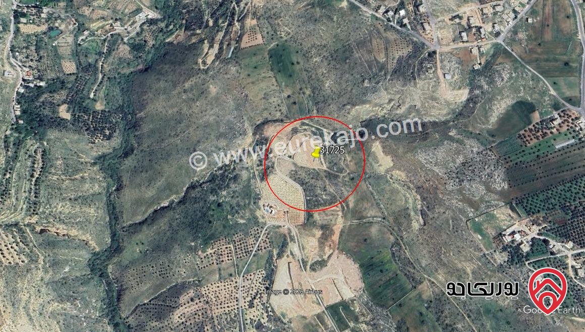 أرض مساحة 67 دونم للبيع في عمان - البحاث