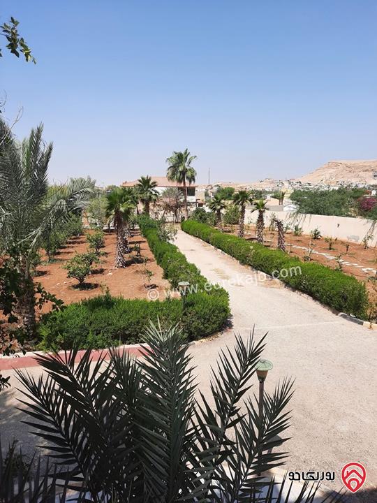 مزرعة للبيع في البحر الميت مساحة 4 دنم فرصة ذهبية للاستثمار والرفاهية