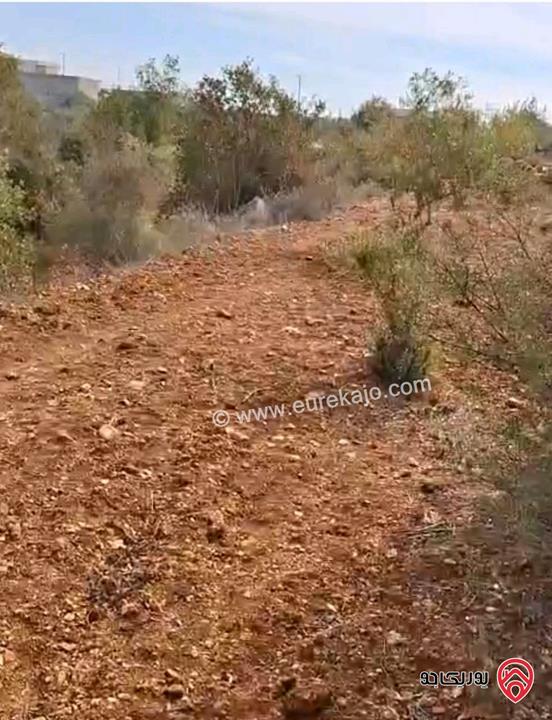 أرض مساحة 5 دونم و 603م للبيع في اربد - ملكا