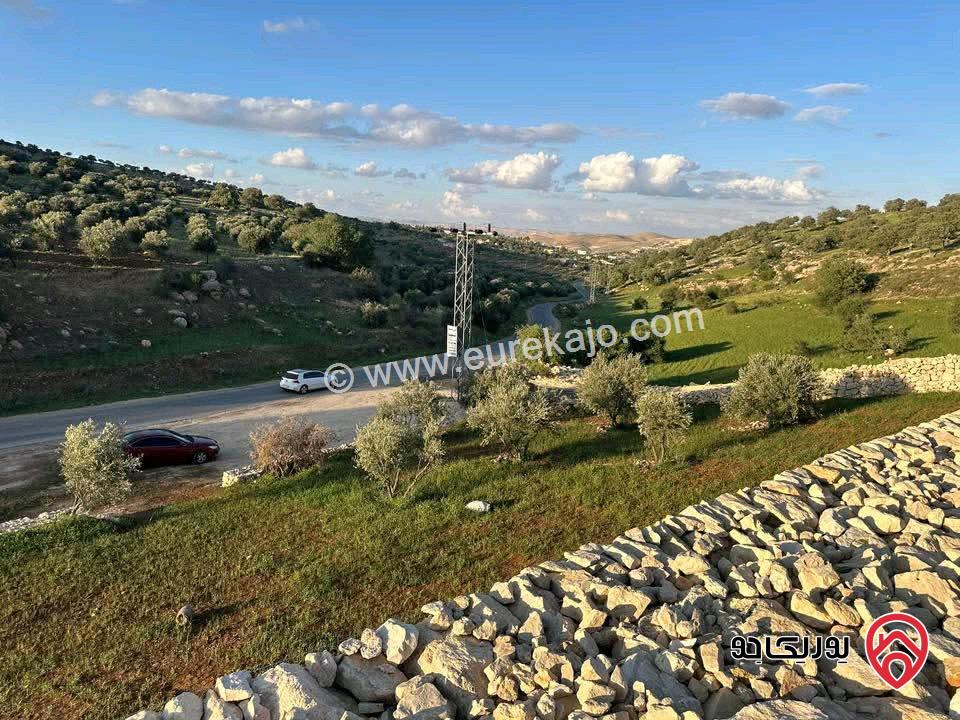  ارض مساحة 3 دونم و 400م فرصة استثمارية للبيع في الزرقاء - صروت بسعر مميز جدا 