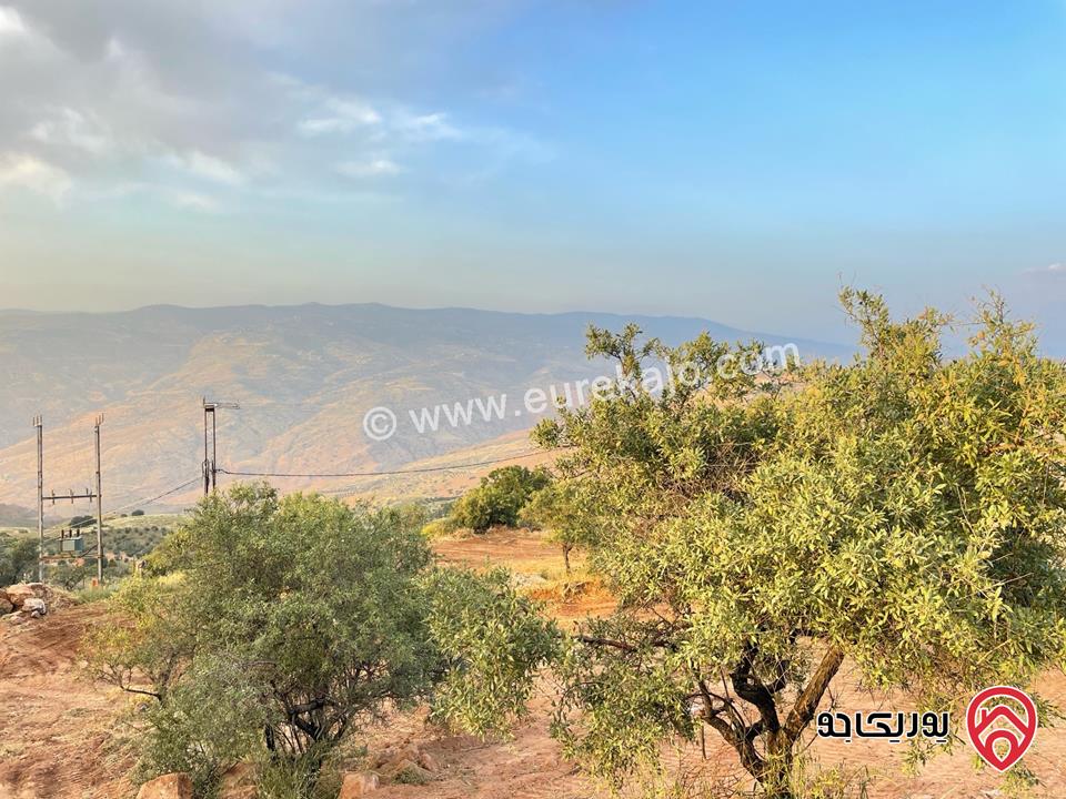 قطعة أرض مساحة 2 دونم و 230م للبيع في السلط - الصبيحي 