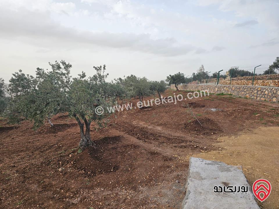 أرض مساحة 3464م للبيع في السلط – الصبيحي