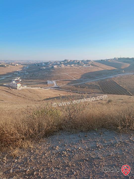 قطعة ارض مساحة 4 دونم و 180م للبيع في الزرقاء - جريبا  