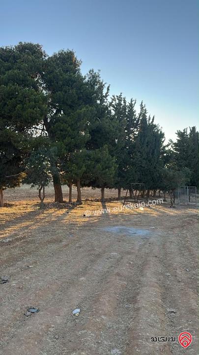 أرض مميزة و مطلة مساحة 1 دونم و 347م للبيع في عمان - عرقوب خلدا