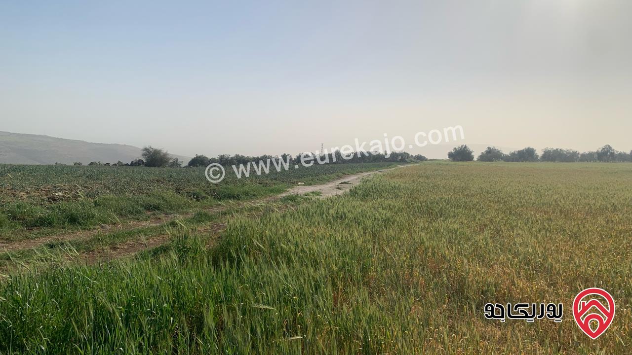 قطعة ارض مساحة 10 دونم للبيع شمال مدينة اربد منطقة ام قيس