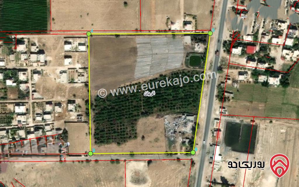 وحدة زراعية مساحة 39 دونم للبيع في الأغوار الشمالية على الشارع الرئيسي 