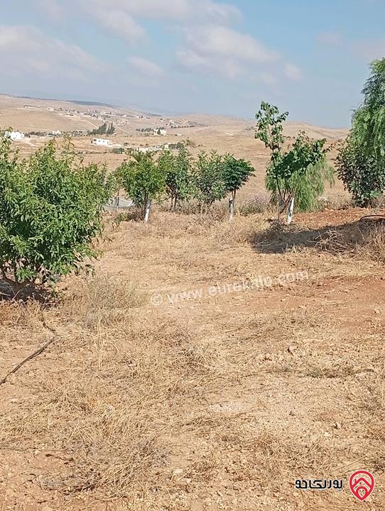 مزرعة مساحة الأرض 3 دونم و 400م بإطلالة للبيع في المفرق - بلعما