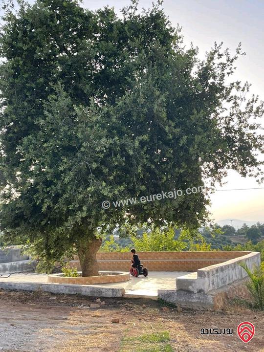 مزرعة مساحة 5177م للبيع في السلط - الصبيحي ابوالهيل  اطلاله على جبال فلسطين