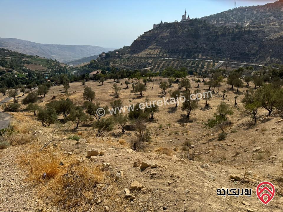 ارض مساحة 4 دونم و 227م للبيع في عمان - البحاث مقابل منتجع البحاث