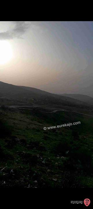 أرض مساحة 4 دونم و 642م للبيع في السلط كفر هودا