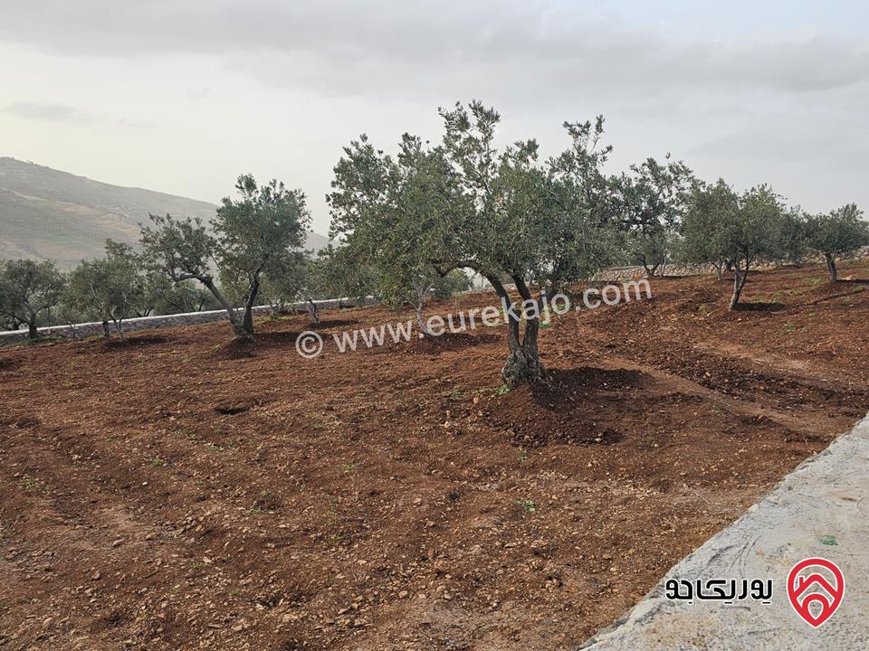 أرض مساحة 3464م للبيع في السلط – الصبيحي