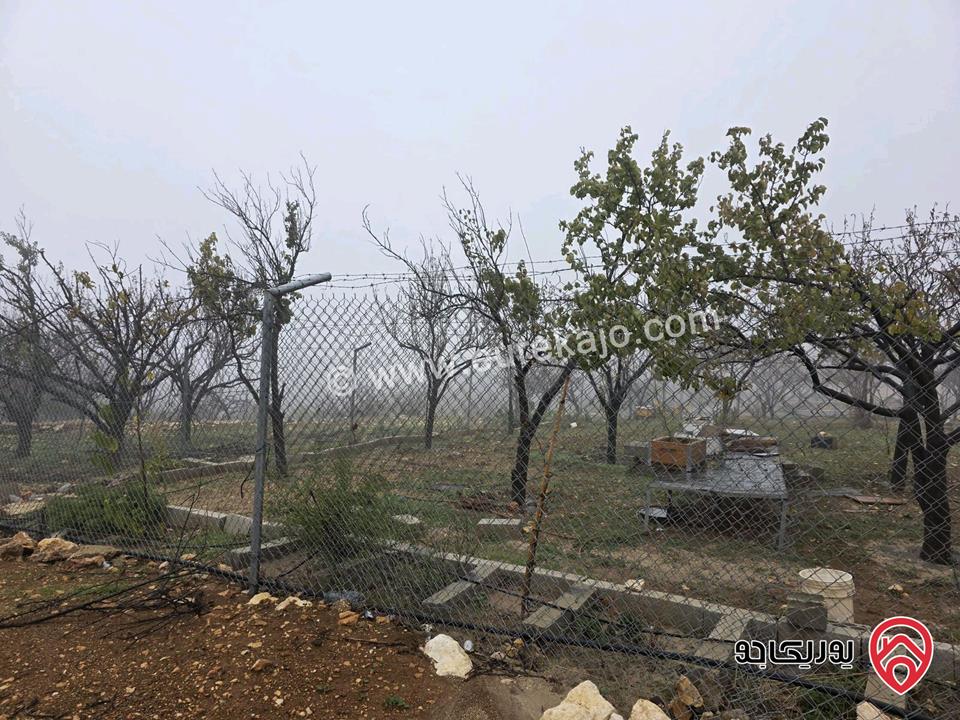 أرض مساحة 750م للبيع في عمان - ناعور