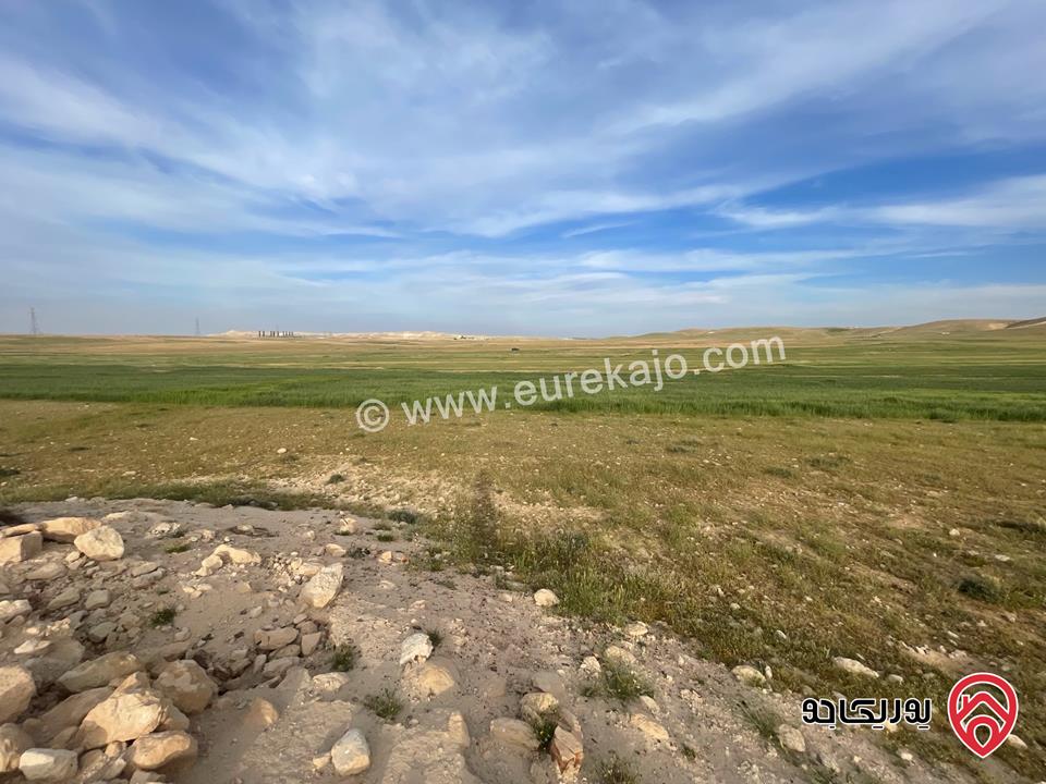 أرض مساحة 21 دونم و 400م للبيع من أراضي شرق عمان - الماضونة قرب جمرك عمان الجديد 