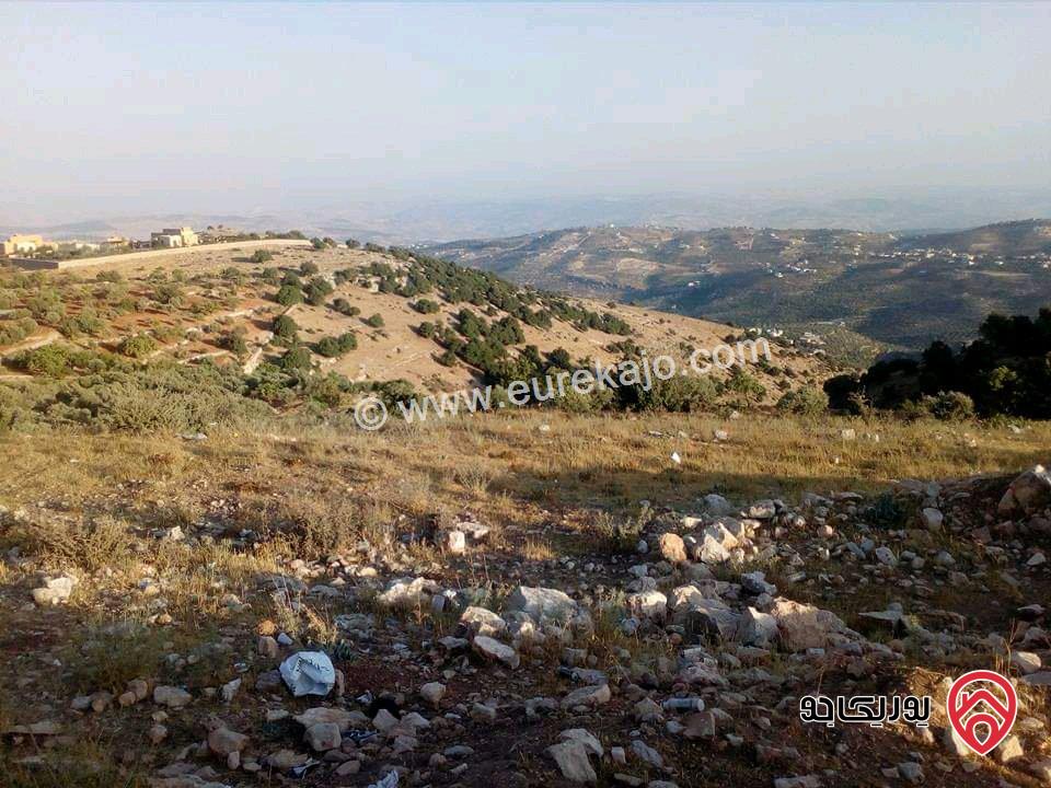 قطعة ارض مساحة 26 دونم للبيع في جرش - سوف