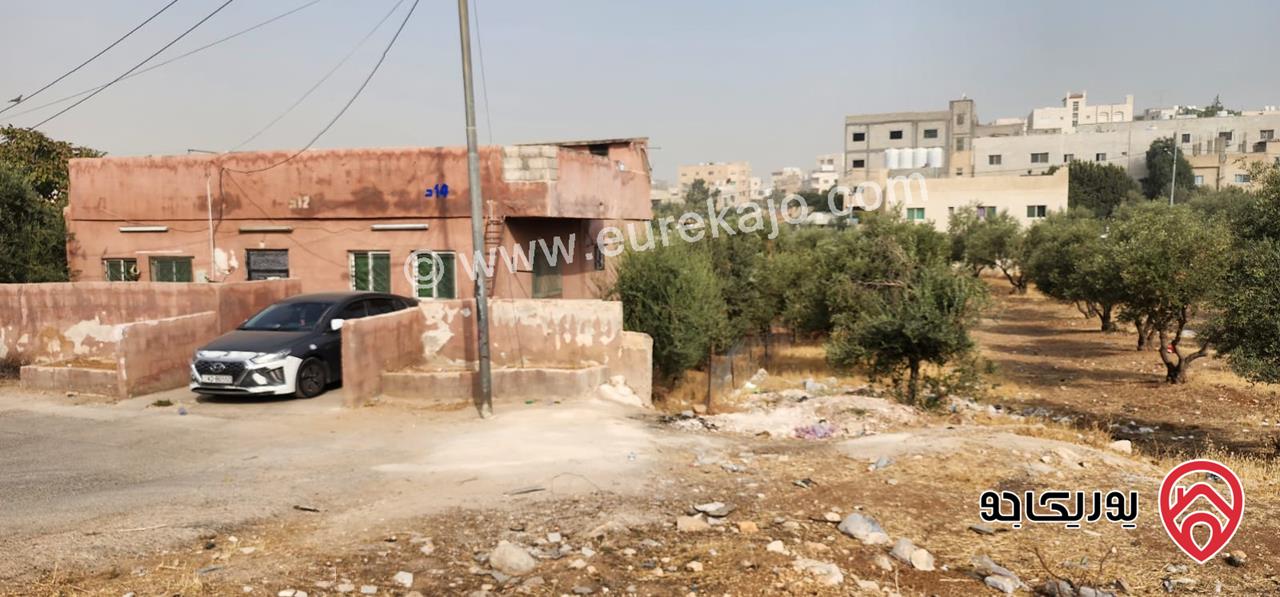 بيت مستقل مساحة 130م محاط ببستان واسع على ارض 767م للبيع في عمان - البنيات 