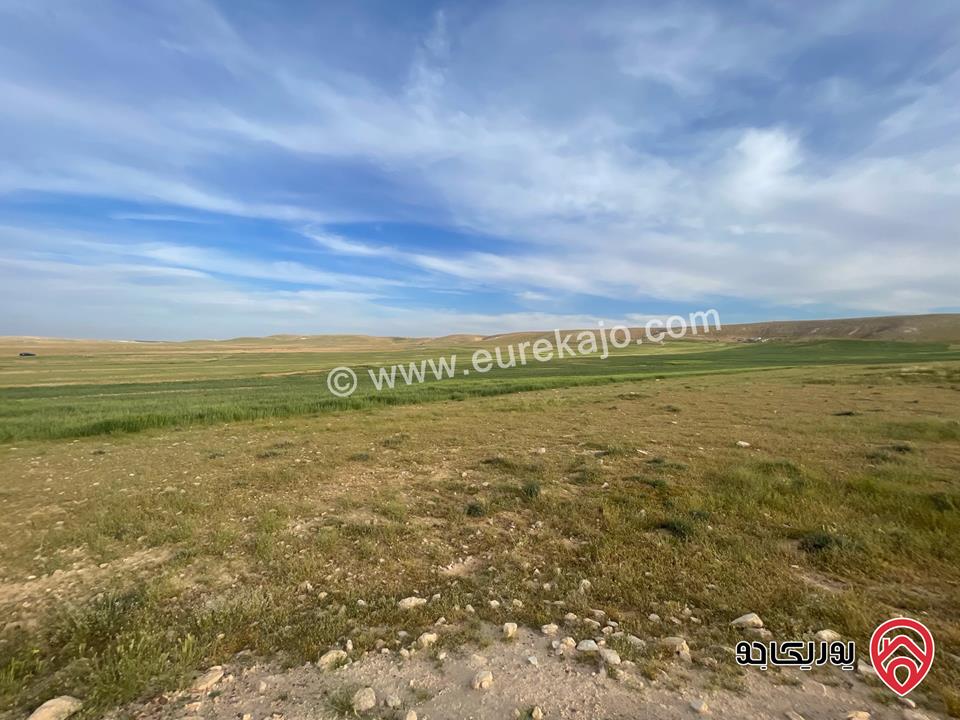 أرض مساحة 21 دونم و 400م للبيع من أراضي شرق عمان - الماضونة قرب جمرك عمان الجديد 
