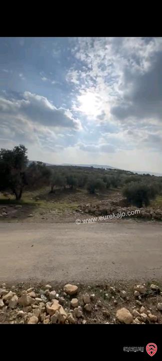 أراضي مساحة 3700م للبيع في عمان - ناعور حسبان مزروعة زيتون