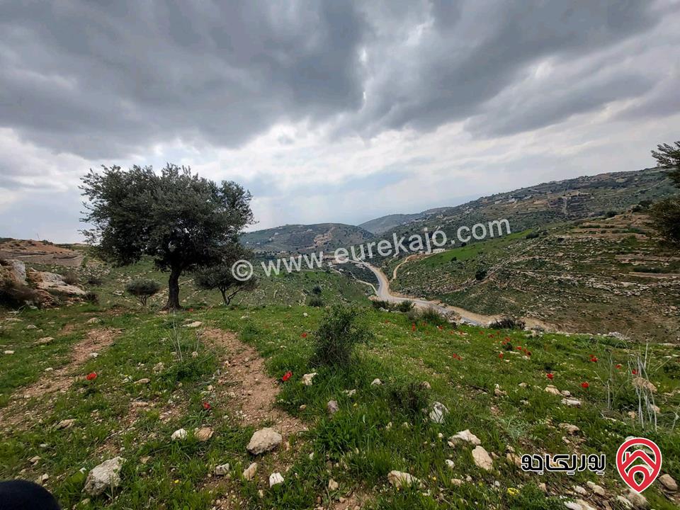  أرض سكنية للبيع في السلط - الجبيل مساحة 1052م (تصنيف أ)