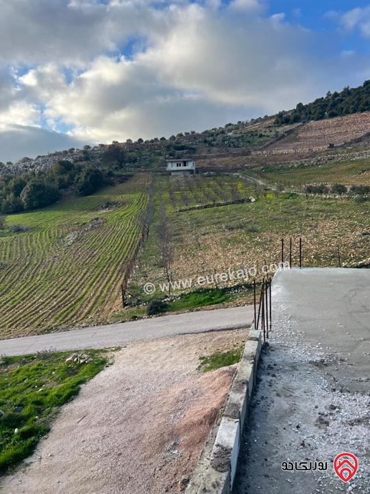 ارض مساحة 1 دونم و 982م للبيع في عجلون عنجرة سرابيس